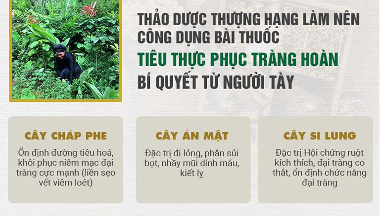 Thành phần thảo dược đặc trị bệnh đại tràng theo công thức bí truyền của người Tày