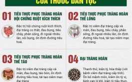 Bài thuốc Tiêu thực Phục tràng hoàn - Khắc tinh bệnh lý viêm đại tràng mãn tính