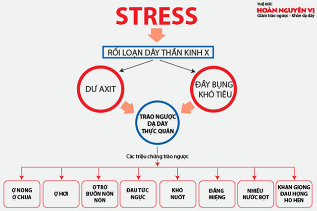 Stress được xác định là nguyên nhân chủ yếu gây ra căn bệnh trào ngược dạ dày thực quản rất phổ biến hiện nay