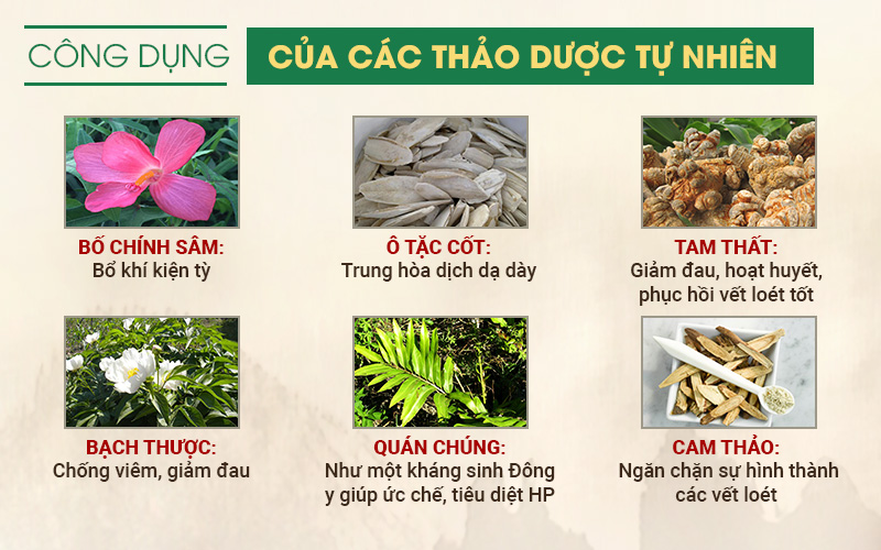 Một số thảo dược được sử dụng trong bài thuốc Sơ can Bình vị tán.