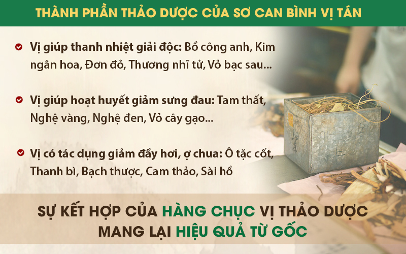 Sơ can Bình vị tán là sự kết hợp của hàng chục loại thảo dược đem lại hiệu quả điều trị tận gốc. Sơ can Bình vị tán là sự kết hợp của hàng chục loại thảo dược đem lại hiệu quả điều trị tận gốc.