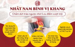 Nhất Nam Bình Vị Khang