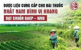 Nguồn dược liệu cung cấp cho bài thuốc Nhất Nam Bình Vị Khang