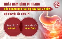 Nhất Nam Bình Vị Khang với cơ chế chữa bệnh độc đáo