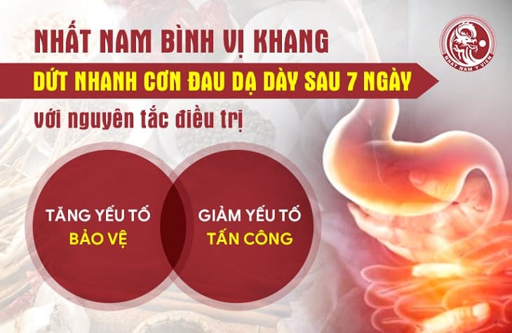 Nhất Nam Bình Vị Khang mang lại hiệu quả chuyên sâu trong quá trình điều trị các chứng bệnh dạ dày