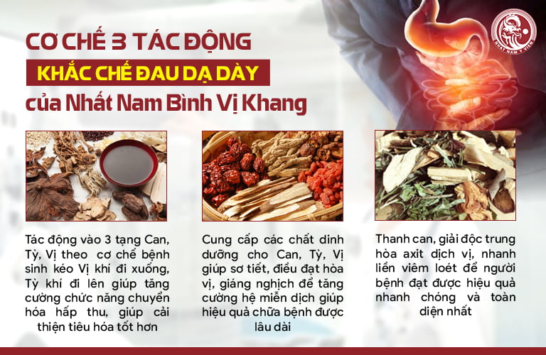 Cơ chế 3 tác động khắc phục bệnh dạ dày toàn diện - an toàn