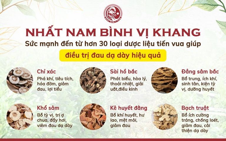 Thành phần dược liệu trong bài thuốc Nhất Nam Bình Vị Khang