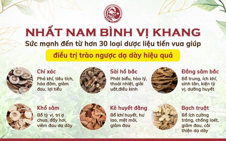 Thành phần dược liệu chủ đạo trong bài thuốc Nhất Nam Bình Vị Khang