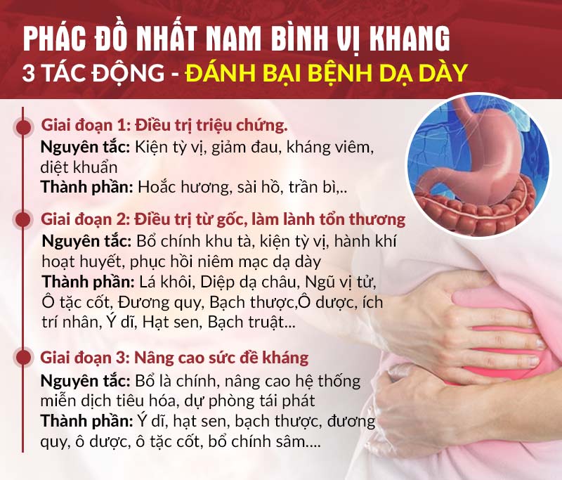 Phác đồ khắc phục bệnh dạ dày của bài thuốc Nhất Nam Bình Vị Khang