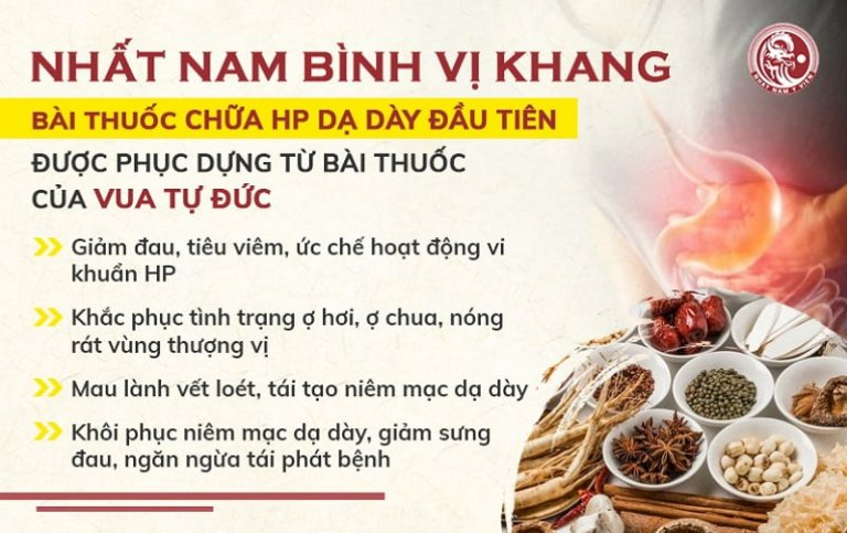 Công dụng bài thuốc Nhất Nam Bình Vị Khang
