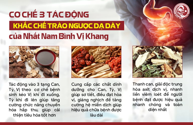 Cơ chế ba tác động trong bài thuốc Nhất Nam Bình Vị Khang