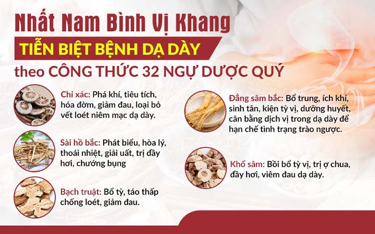 Thảo dược trong bài thuốc Nhất Nam Bình Vị Khang