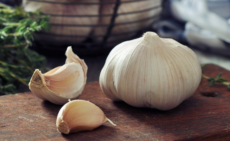 Tỏi là một trong những thực phẩm hàng đầu được khuyên dùng