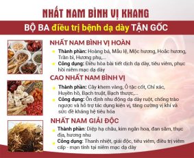 Bộ ba bài thuốc Nhất Nam Bình Vị Khang