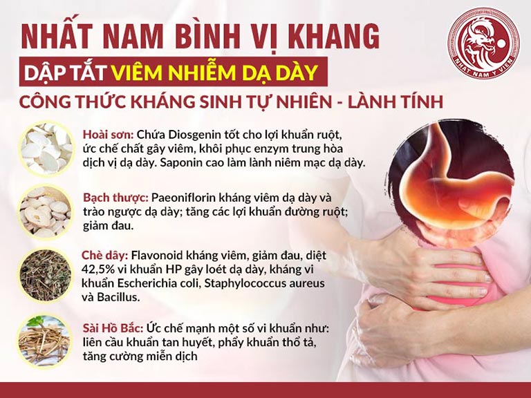 Nhất Nam Bình Vị Khang có những thảo dược chứa thành phần kháng sinh thực vật